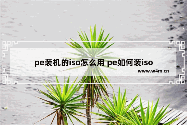 pe装机的iso怎么用 pe如何装iso