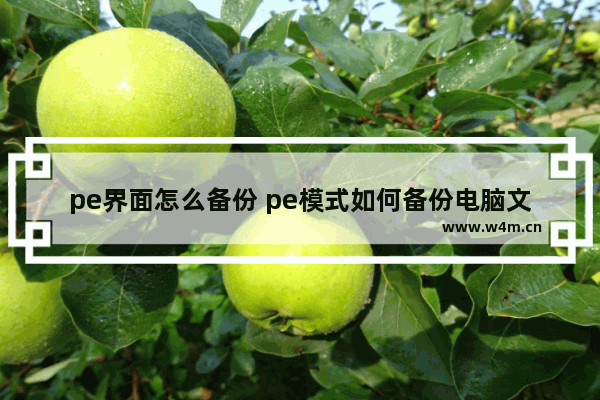 pe界面怎么备份 pe模式如何备份电脑文件