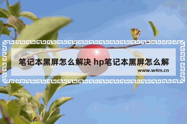 笔记本黑屏怎么解决 hp笔记本黑屏怎么解决