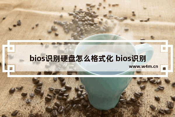 bios识别硬盘怎么格式化 bios识别硬盘怎么格式化不了