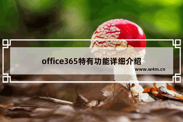 office365特有功能详细介绍