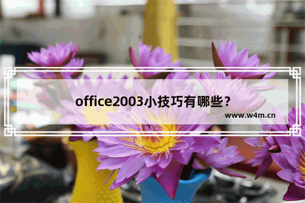 office2003小技巧有哪些？