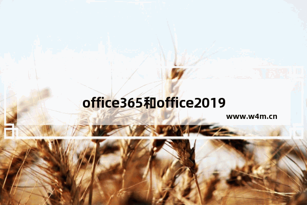 office365和office2019哪个好用详情