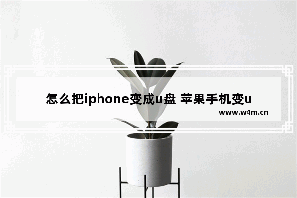 怎么把iphone变成u盘 苹果手机变u盘教程