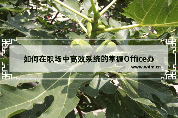 如何在职场中高效系统的掌握Office办公软件？