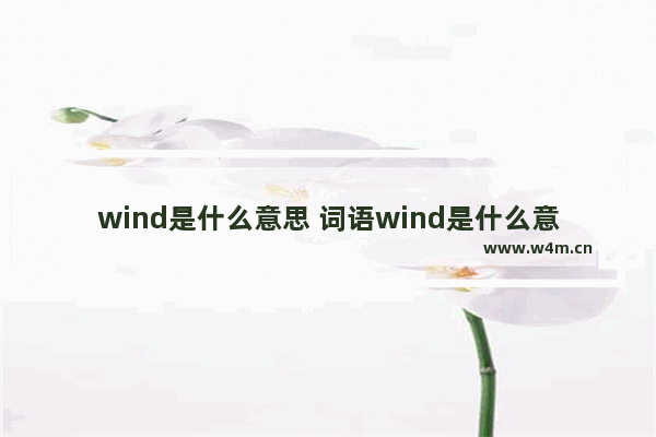 wind是什么意思 词语wind是什么意思