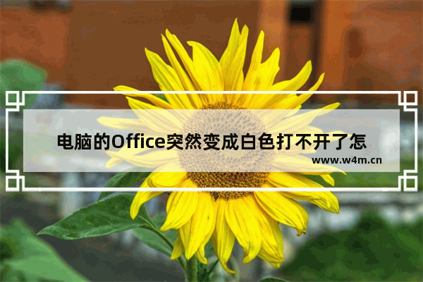 电脑的Office突然变成白色打不开了怎么办？