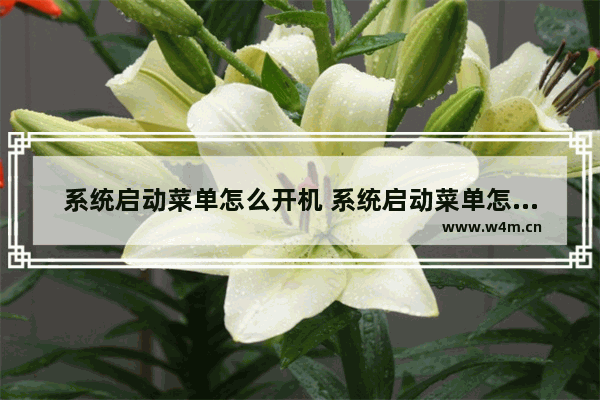 系统启动菜单怎么开机 系统启动菜单怎么开机设置