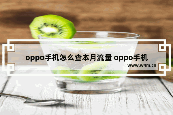 oppo手机怎么查本月流量 oppo手机怎么查看本月剩下多少流量