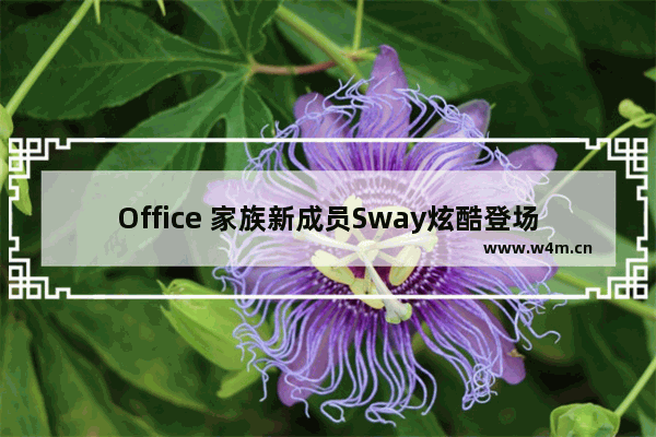 Office 家族新成员Sway炫酷登场