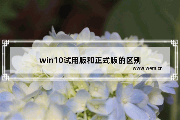 win10试用版和正式版的区别