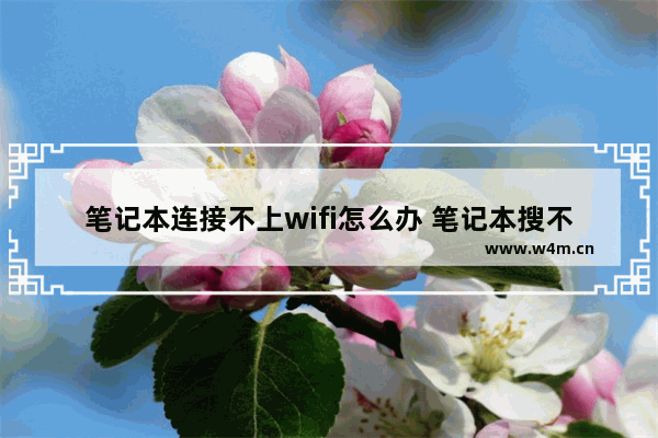 笔记本连接不上wifi怎么办 笔记本搜不到wifi网络怎么办