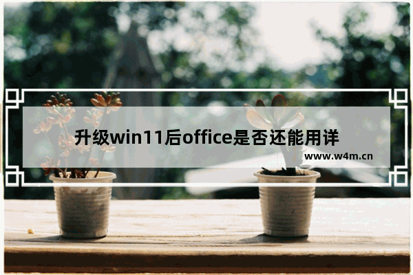 升级win11后office是否还能用详细介绍