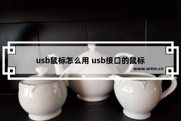 usb鼠标怎么用 usb接口的鼠标