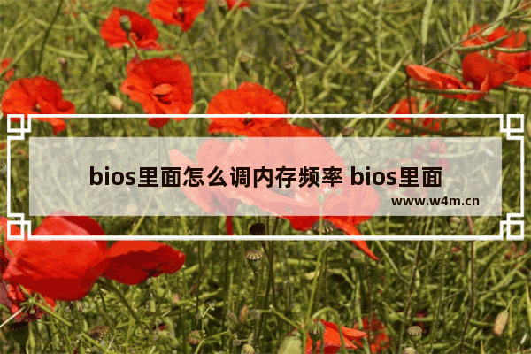 bios里面怎么调内存频率 bios里面怎么调内存频率和频率