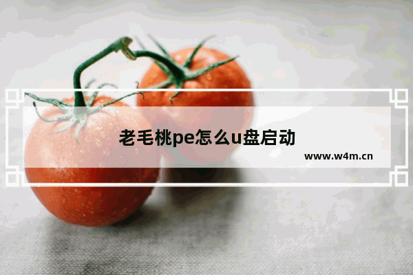 老毛桃pe怎么u盘启动