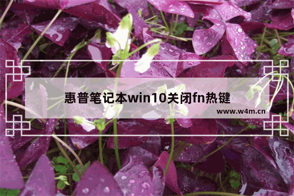 惠普笔记本win10关闭fn热键