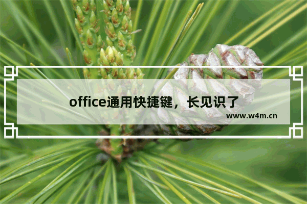 office通用快捷键，长见识了