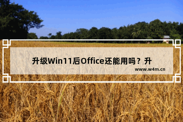 升级Win11后Office还能用吗？升级Win11后Office是否还能用详细介绍