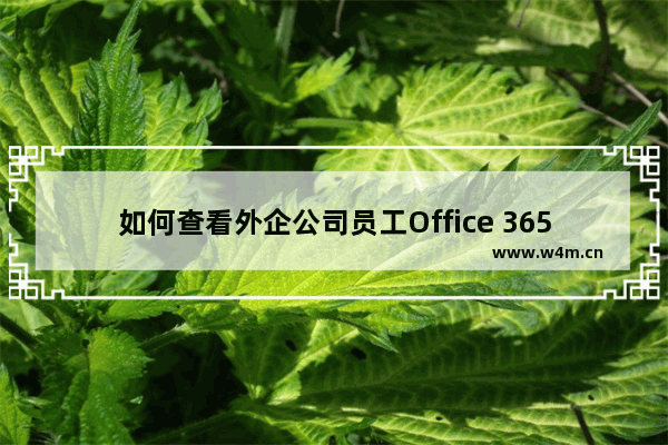 如何查看外企公司员工Office 365权限是否已分配