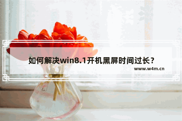 如何解决win8.1开机黑屏时间过长？