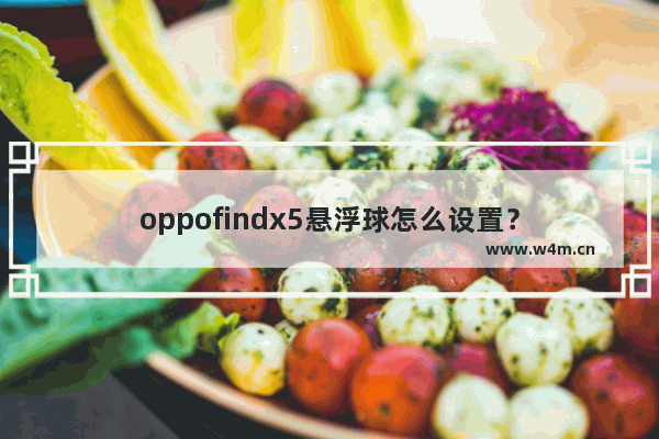 oppofindx5悬浮球怎么设置？