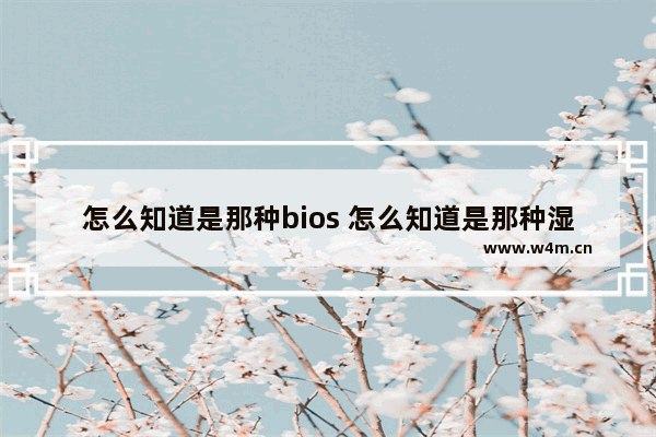 怎么知道是那种bios 怎么知道是那种湿气