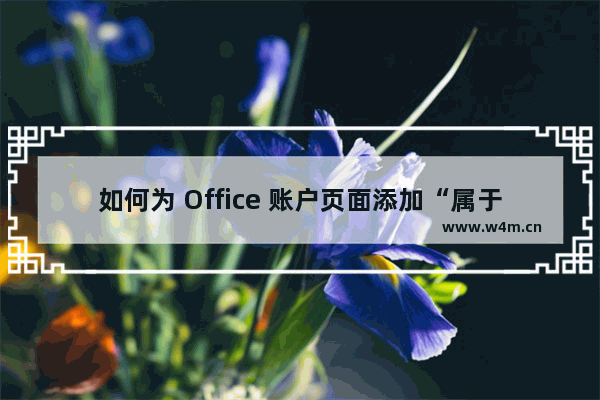 如何为 Office 账户页面添加“属于: [email protected]