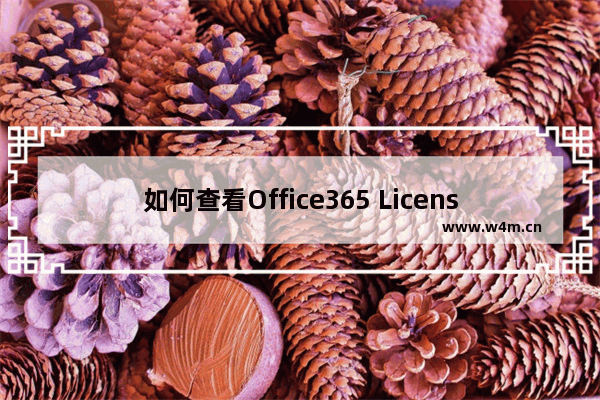 如何查看Office365 License在不同机器上授权状态