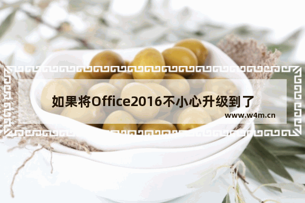 如果将Office2016不小心升级到了2019，如何将Office退回到2016？