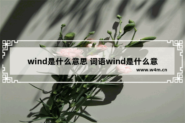 wind是什么意思 词语wind是什么意思