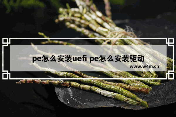 pe怎么安装uefi pe怎么安装驱动