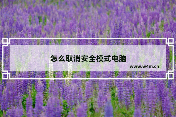 怎么取消安全模式电脑