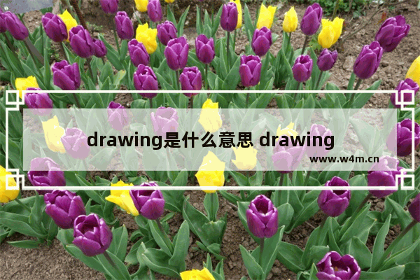 drawing是什么意思 drawing解释