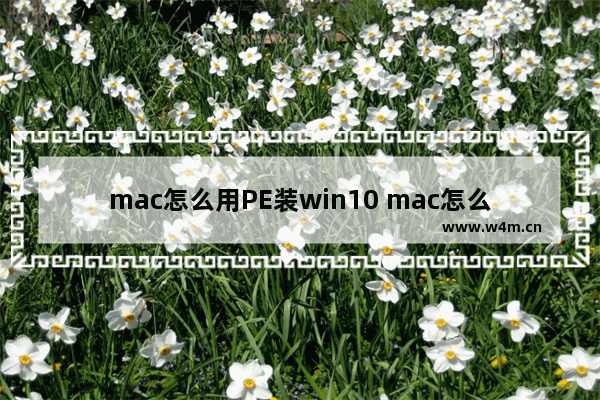 mac怎么用PE装win10 mac怎么用pe装双系统