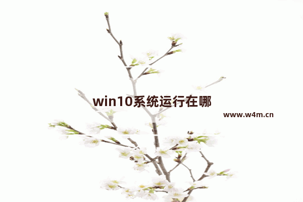 win10系统运行在哪