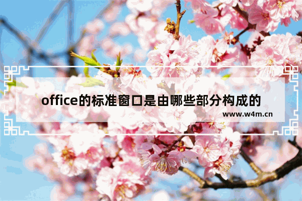 office的标准窗口是由哪些部分构成的？