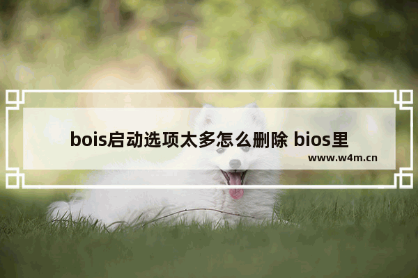 bois启动选项太多怎么删除 bios里的启动项怎么删除,很多重复的