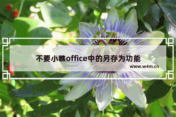 不要小瞧office中的另存为功能