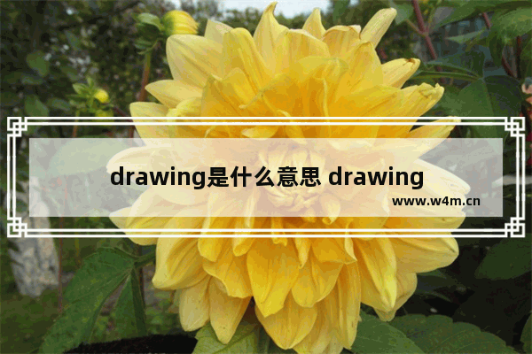 drawing是什么意思 drawing解释