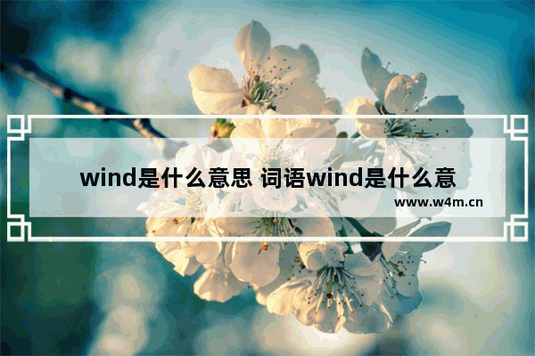 wind是什么意思 词语wind是什么意思