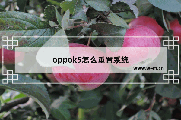 oppok5怎么重置系统