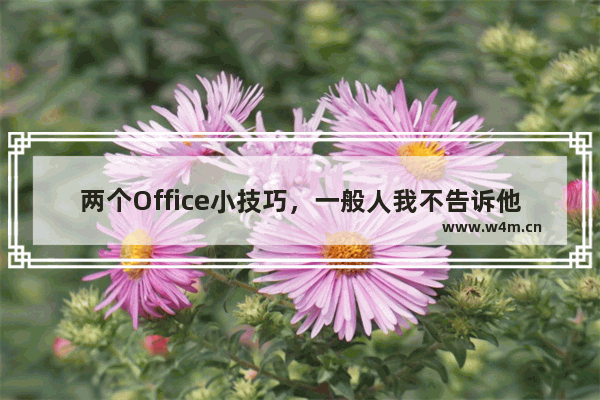 两个Office小技巧，一般人我不告诉他