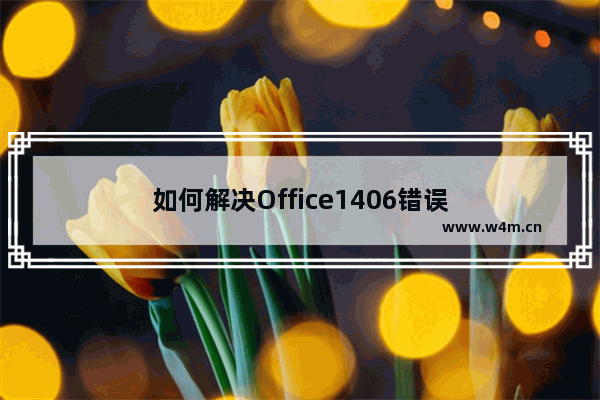 如何解决Office1406错误