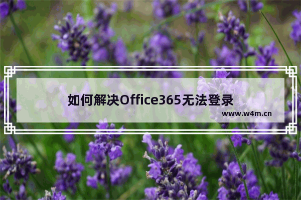 如何解决Office365无法登录