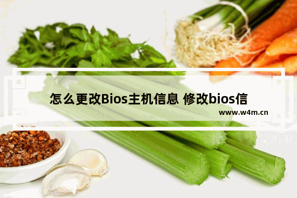 怎么更改Bios主机信息 修改bios信息