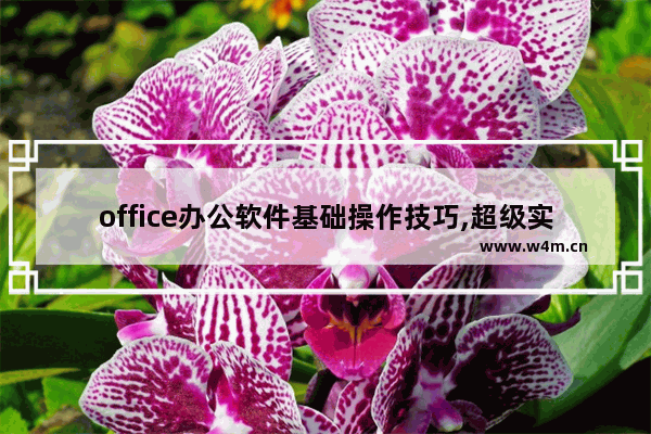 office办公软件基础操作技巧,超级实用