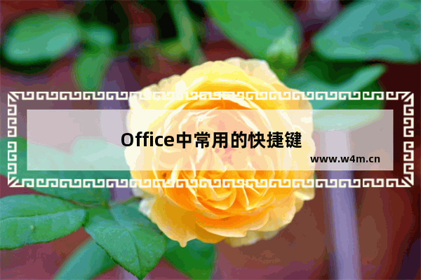 Office中常用的快捷键