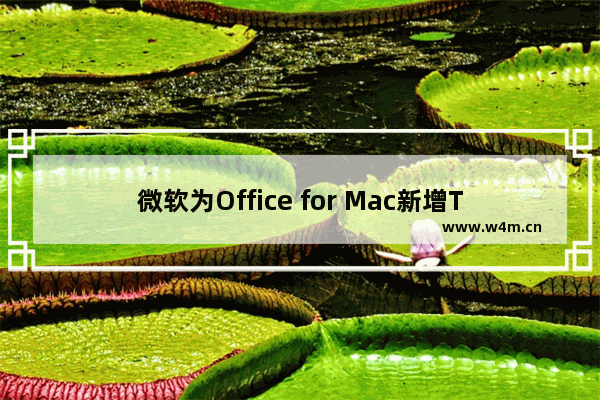 微软为Office for Mac新增Touch Bar支持