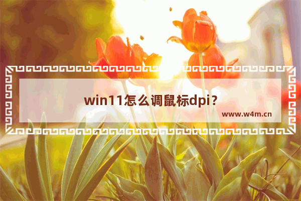 win11怎么调鼠标dpi？